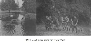 Trek Cart